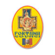 FC Fortuna Covaci - Timis