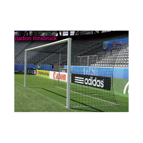 Porti de fotbal fixe cu plasă 7,32 x 2,44 m
