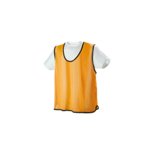 Vesta antrenament BASIC